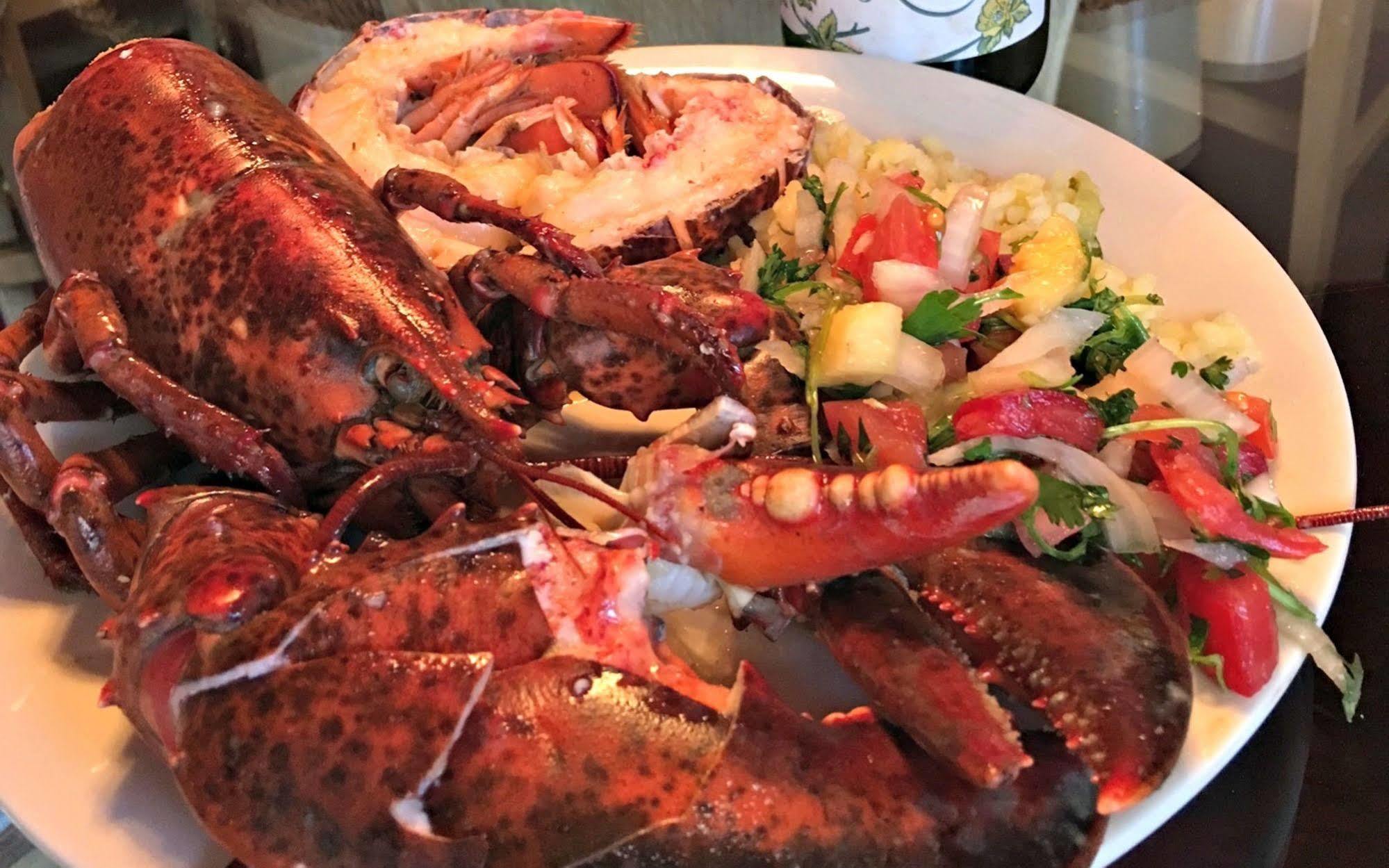 Alpenhorn Bed And Breakfast Big Bear Lake Esterno foto