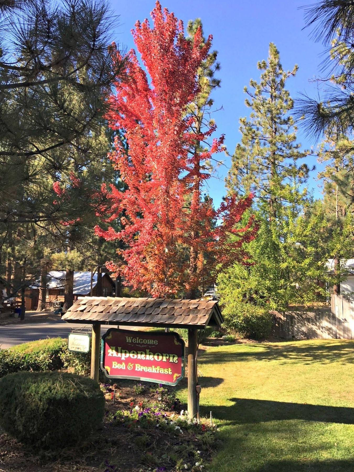 Alpenhorn Bed And Breakfast Big Bear Lake Esterno foto